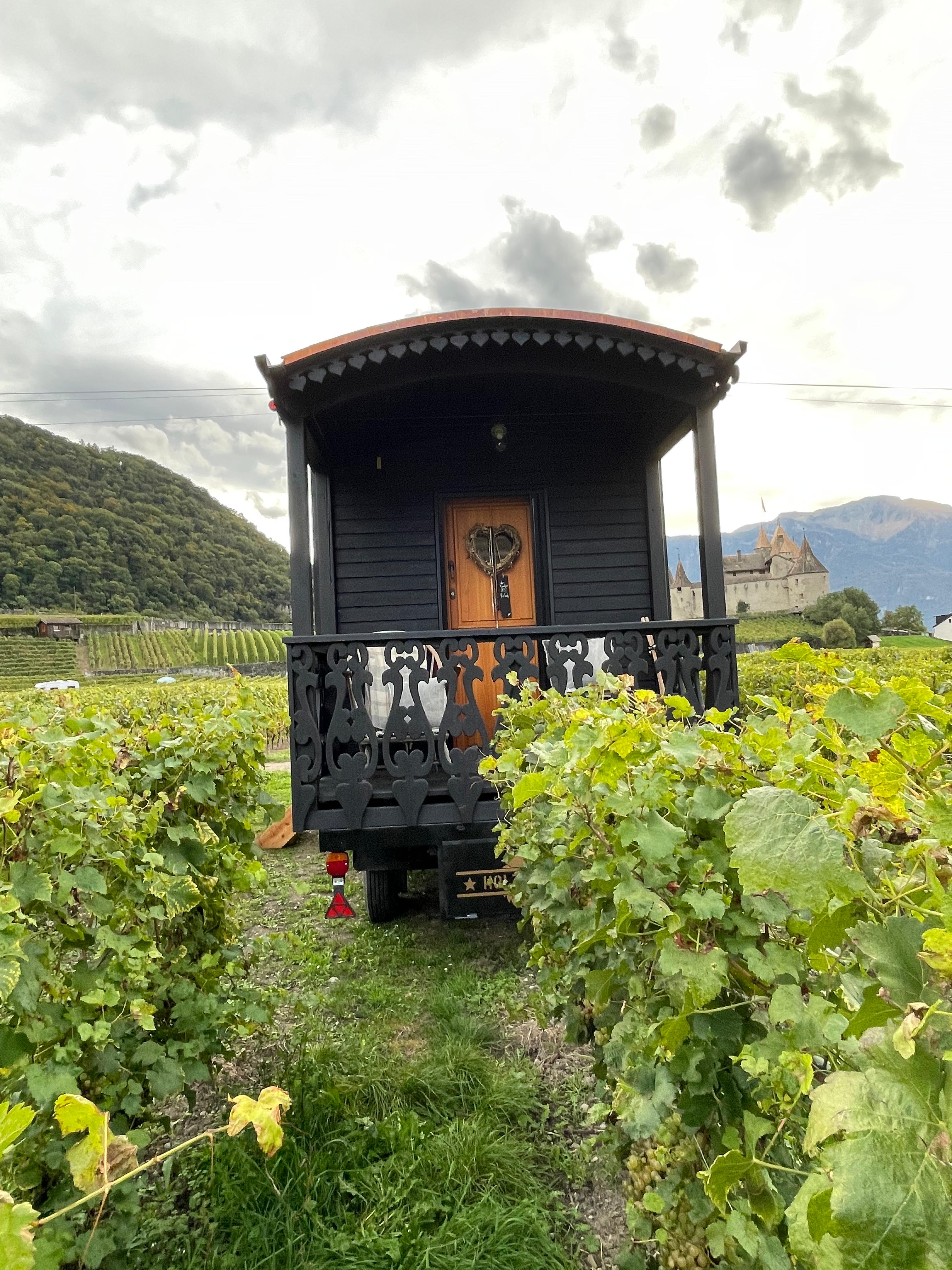 Holzwerft Tinyhouse Tinyhaus Annabella-Rose